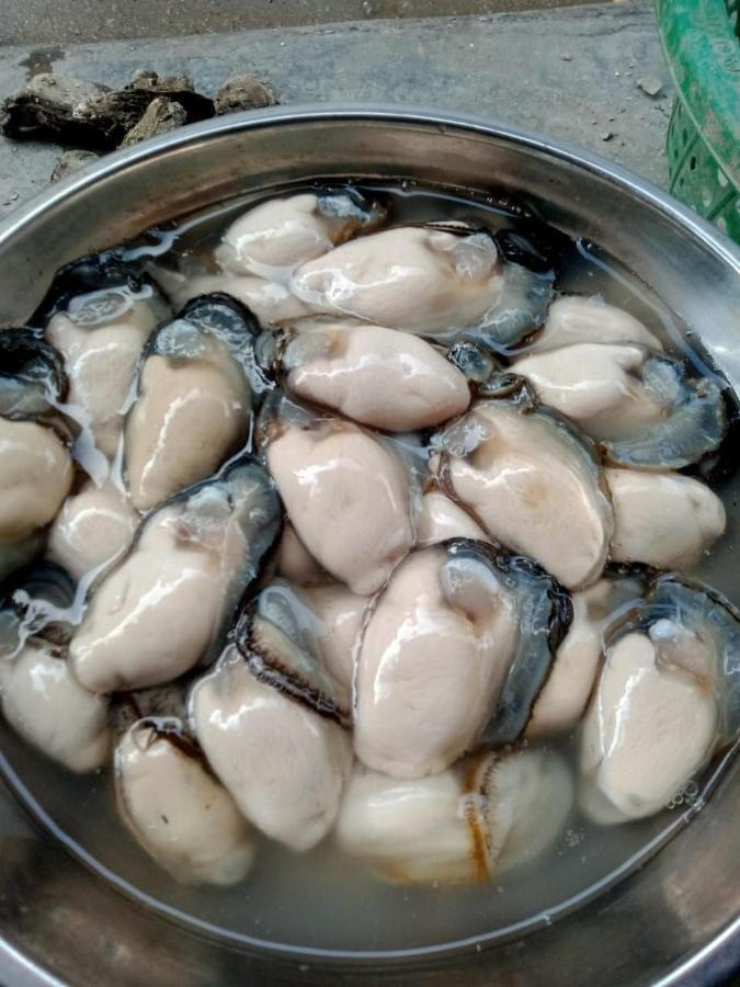 Thai Bao Hotel And Restaurant Chan Chau Εξωτερικό φωτογραφία